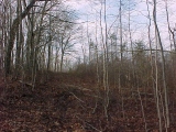 Hole 8