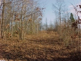 Hole 2 - A Tee