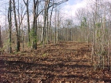 Hole 9