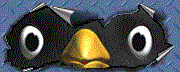 Penguin Eyes