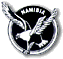 NFA