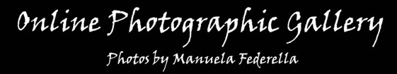 Online Photographic Gallery - Photos by Manuela Federella