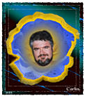 Carlin