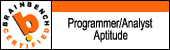 Programmer/Analyst IT Aptitude