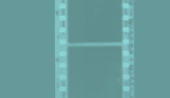 zastavka10.gif
