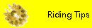  Riding Tips 