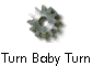  Turn Baby Turn 