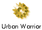  Urban Warrior 