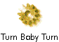  Turn Baby Turn 