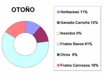 oto�o