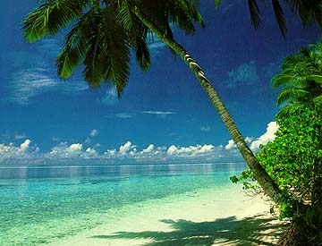Wanna be here?
