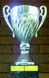 Shamrocks Best & Fairest Perpetual Trophy