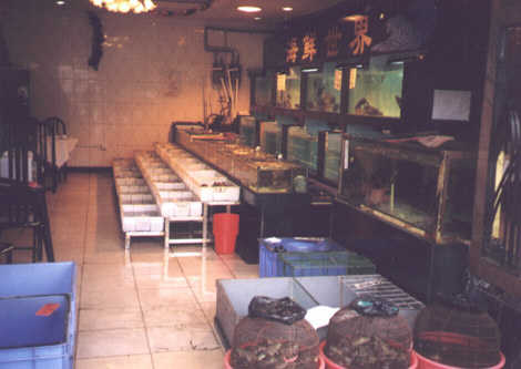 Guangzhou Restaurant