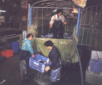 Qingping MArket, Fish