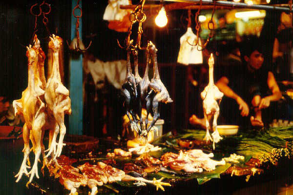 Qingping market, black chickens