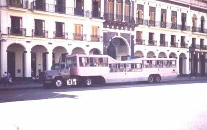 Camello