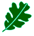 Nature Conservancy logo
