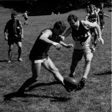 Tackle