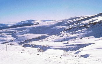 altocampoo7.jpg - 23 kb