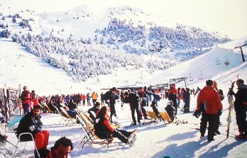 cerler4.jpg - 30 kb
