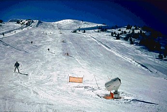 masella2.jpg - 25 kb