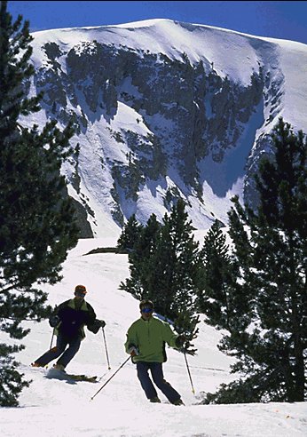 masella3.jpg - 61 kb
