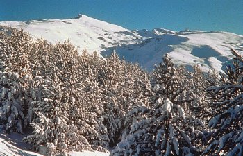 sierra7.jpg - 28 kb