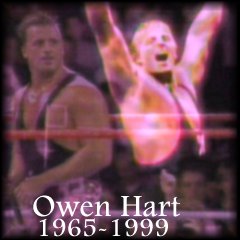 Tribute to Owen Hart