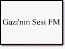 Gazi'nin Sesi FM