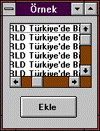 visual basic resim3