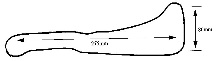 atom_ant.jpg (15449 byte)