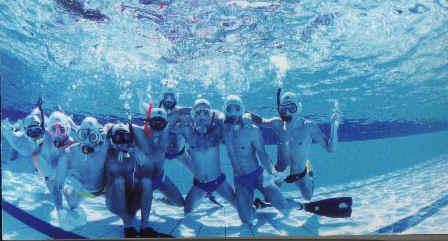 team.jpg (42659 byte)
