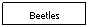 Text Box: Beetles
&nbsp;
