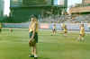 image50.jpg (65445 bytes)