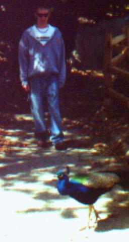 zoo3