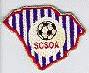 South Carolina High School Badge