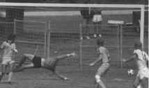 bobsave? 1981
