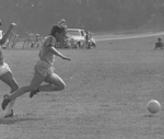 Super Dan 1981