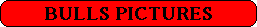 Bulls Pictures