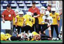 Panthers