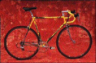Carrera Team Issue