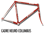 Bianchi Neuron