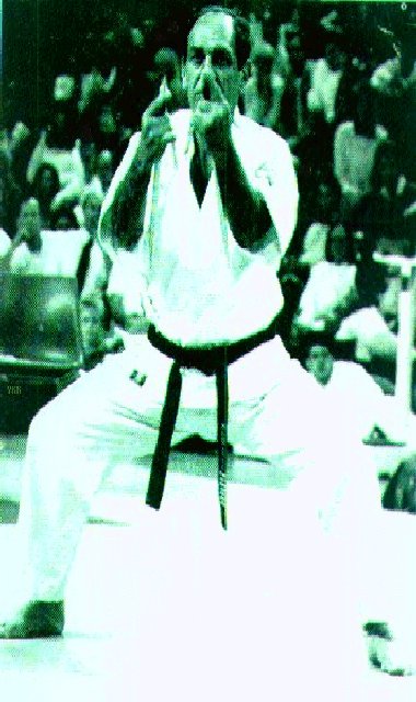 arneilsai.jpg (60235 bytes)