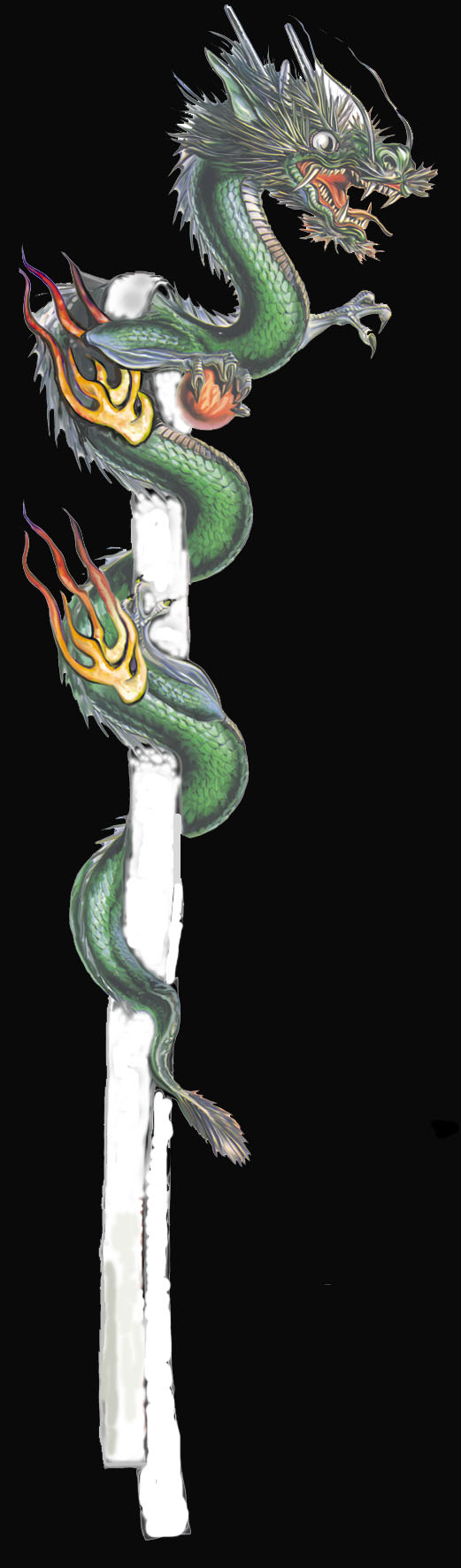 leftdragonblack.jpg (103300 bytes)