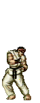 shoryuken.gif (19361 bytes)