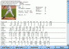 Clemens.gif (37006 bytes)