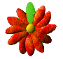 Contact Me on ICQ