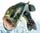 Pesca al Black e Luccio