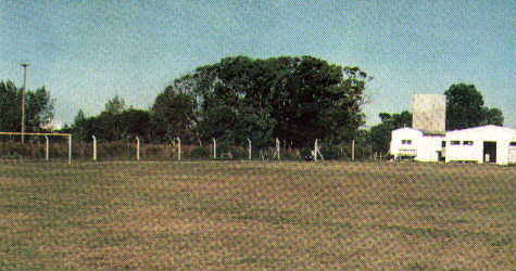 El Bosquecito