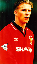 david